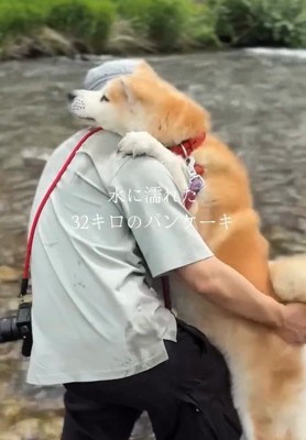 パパの肩に手をかけるおはるちゃん
