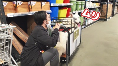 今度は降りられない!?
