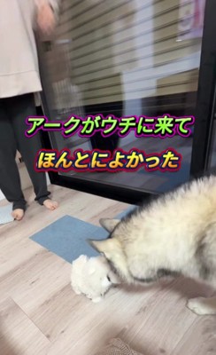 それでも愛おしい…