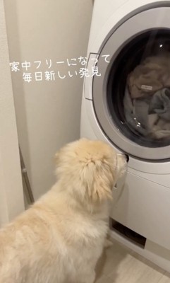 すくすく育ってね