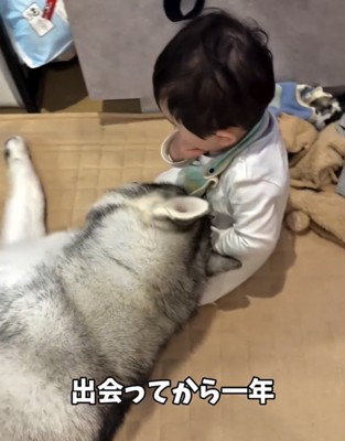 座る赤ちゃんに体を預ける犬