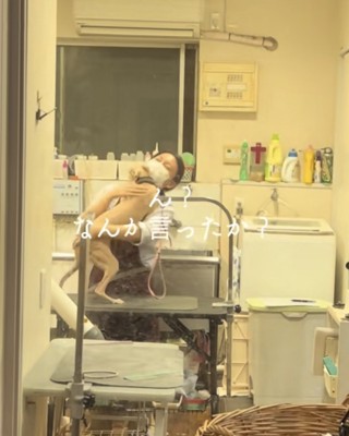 お姉さんにハグする犬「ん？なんか言ったか？」
