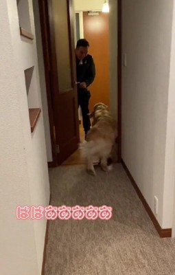 一目散にパパの元へ