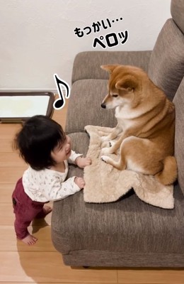 もう1回舐めたむぎちゃん