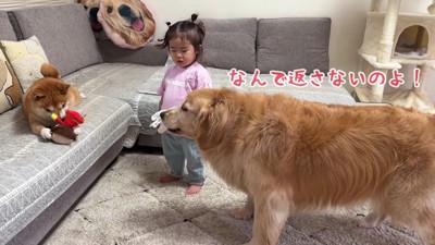 「なんで返さないの！」