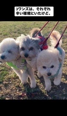 みんなで支え合う姿に涙