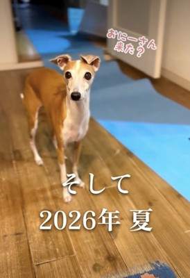 期待でソワソワ…