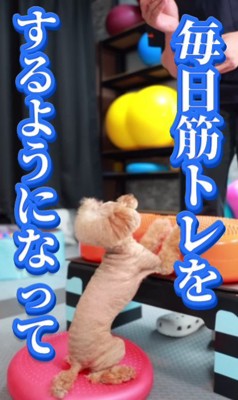 筋肉トレーニングを開始!