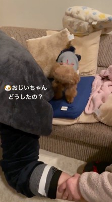 男性の足を見つめる犬