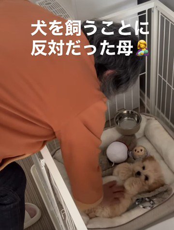 目が離せなくなるほどの溺愛ぶり