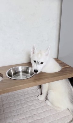 想定外すぎました