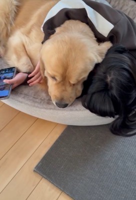 ずっとそばにいてくれました♡