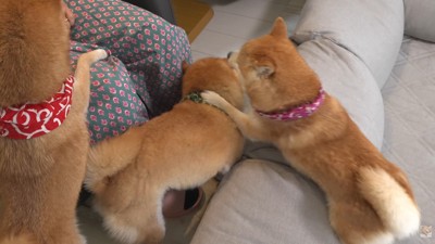 結局ボコボコにされました…