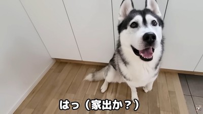 「もしかして…脱走した!?」