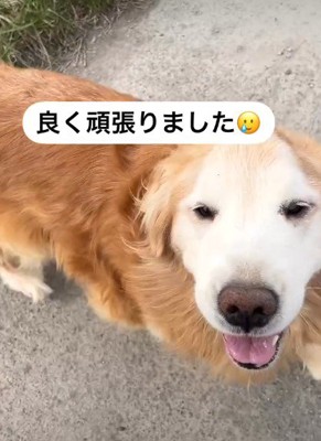 お留守番がんばったね♪