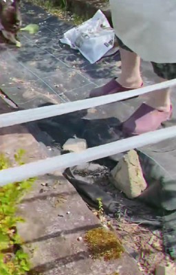 ジブリの世界のよう