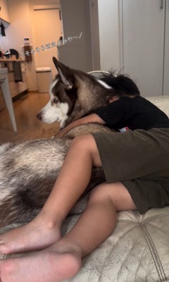 男の子を慰めるウルくん5