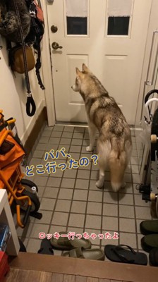 パパが家から出て行ってしまい俯く犬