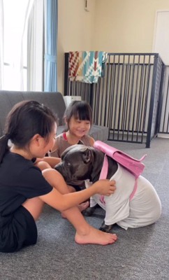 格好の遊び相手に♪