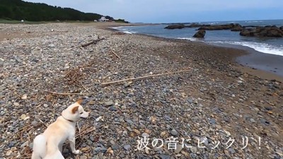 海に近付いたら、波の音にびっくり