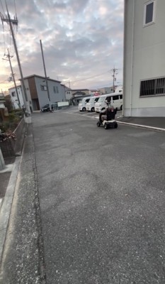 遠ざかっていくシニアカーを見つめる犬