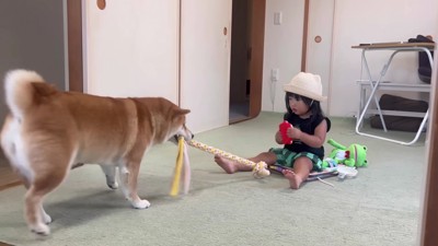 引っ張ってくれた!