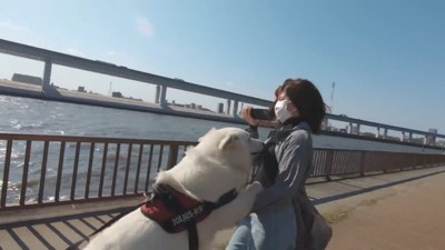 BJくんが彼女さんに気づくか検証8