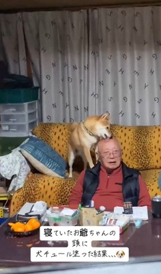 おじいちゃんの頭！？