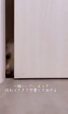 飼い主さんを待っていたポノくん