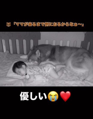 母性あふれる行動に涙…