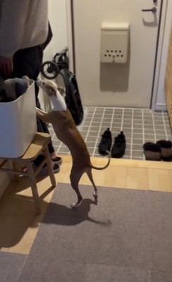 「おるやん！」