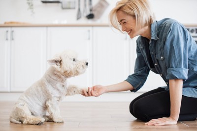 犬と飼い主