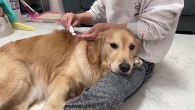 歯磨きの時間！