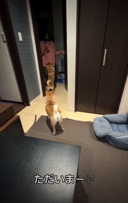 女の子と犬