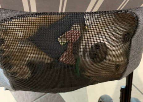 ネットに張り付いて2人を凝視