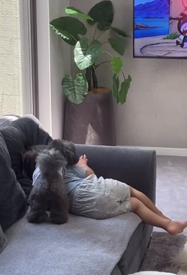 男の子を覗き込むアイナちゃん