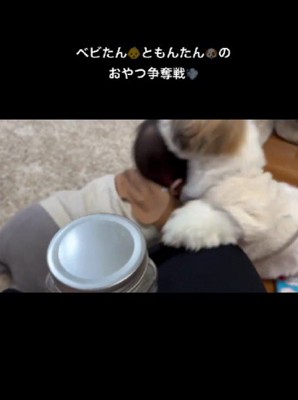 もみくちゃな状態に!