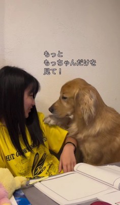 ナデナデを催促