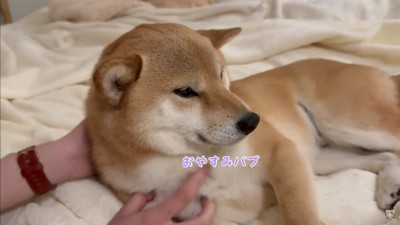 なんとか寝かしつけ