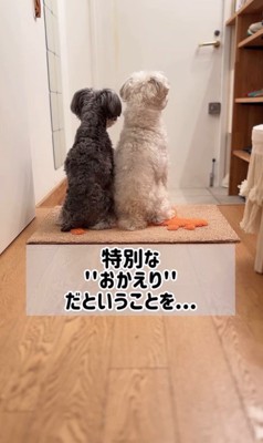 バンデくんとなぎちゃんの本当のおかえり4