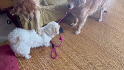 「イタズラはダメ！！」