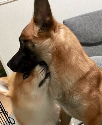 ビギーくんとパックくん