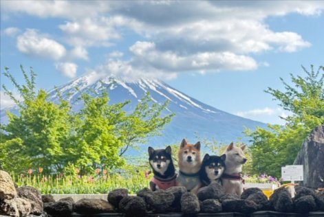 上手に