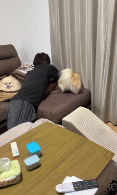 ボールを取ってもらいたいクララちゃん3