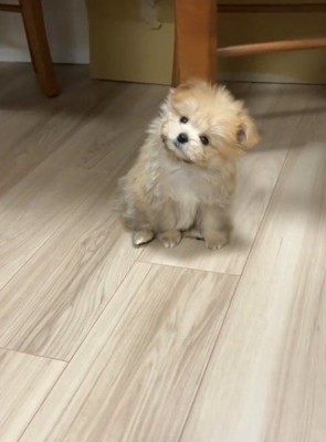 大きく首を傾けて…