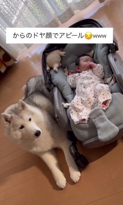 「ちゃんと子守りしているよ」