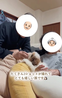 可愛がられる犬