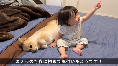 カメラを発見して、興味津々に