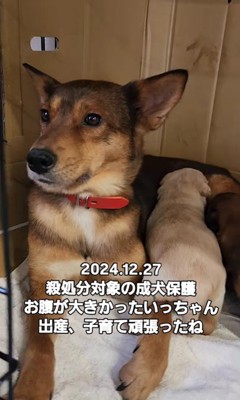 幸せを掴んだいっちゃん＆アロマちゃん