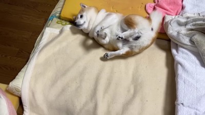 体勢を立て直すことに